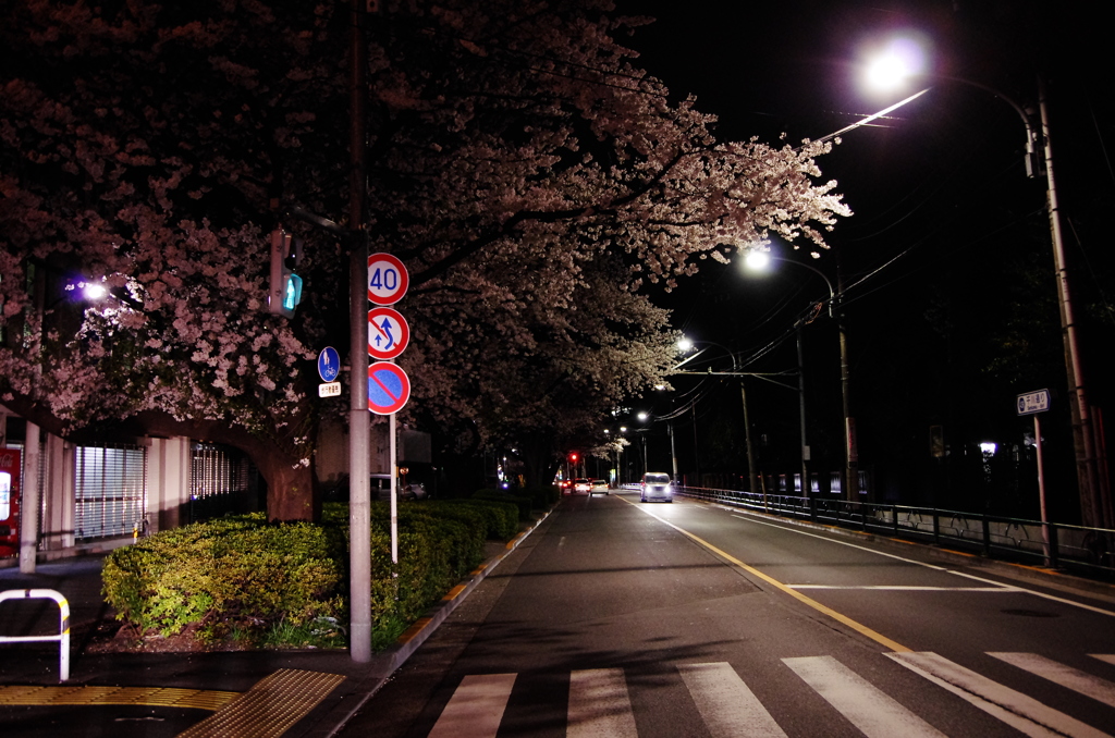 Sakura arcade