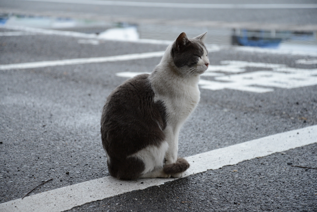 DSC_0055