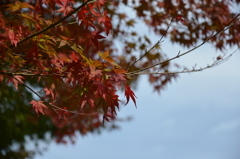 DSC_0008
