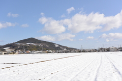 久々の雪