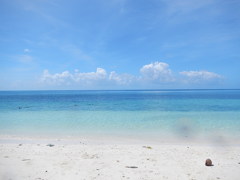 DSCN0130