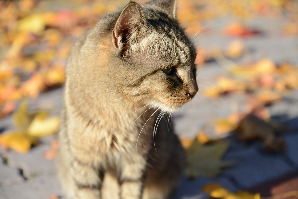 DSC_0095