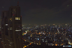 東京を一望