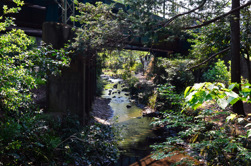小川
