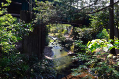 小川