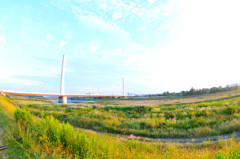河原からの橋
