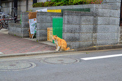 ～待ち合わせ～