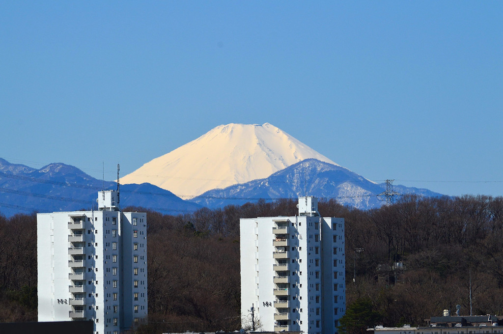 富士山