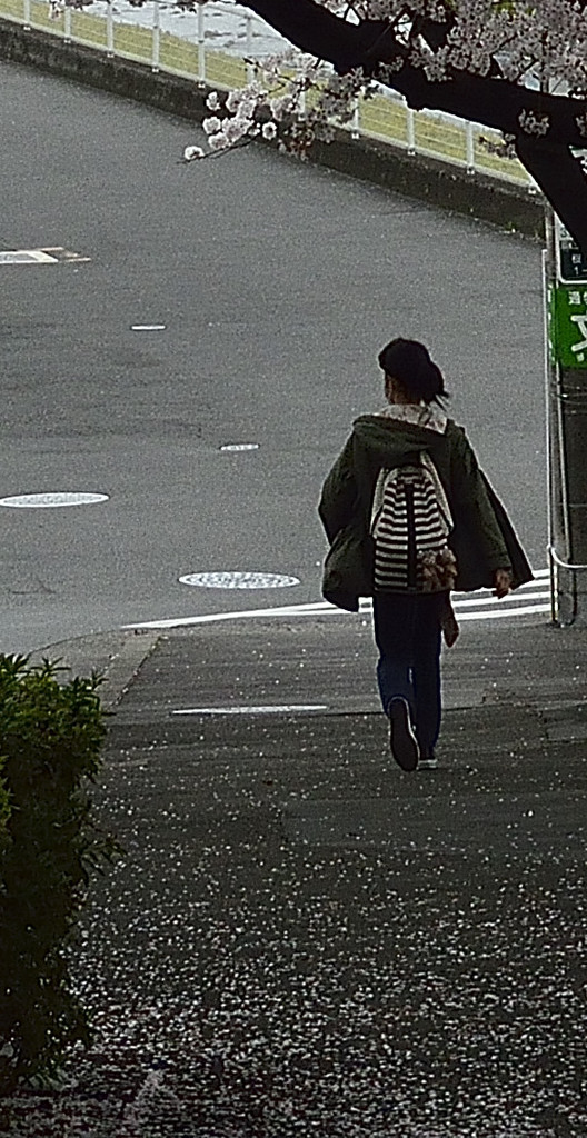 さぁ新生活だ