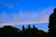 一線の雲