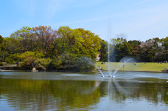 噴水のある公園