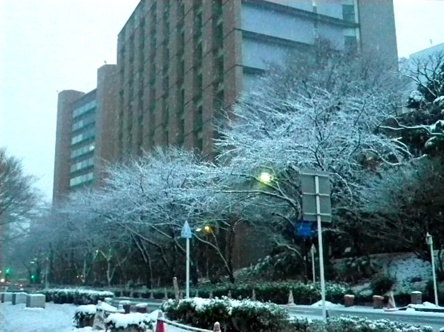 IMGP0588