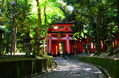 千本鳥居を横道から
