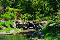 DSC_1062-0