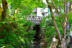 小川の橋