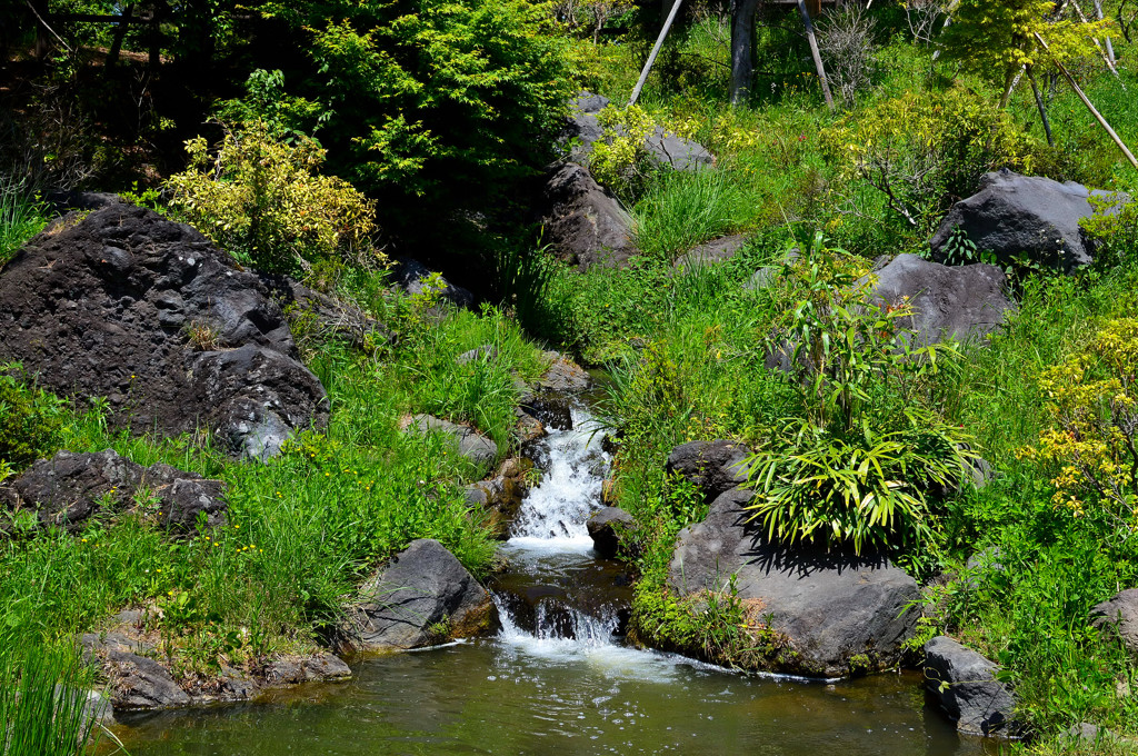 庭園Ⅲ