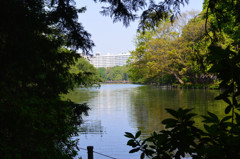 池