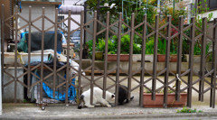 食事中