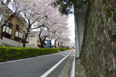 桜坂