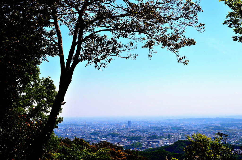 山から臨む都会