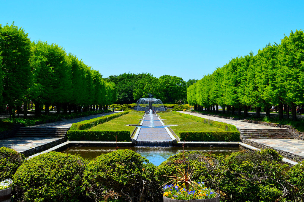 庭園Ⅳ