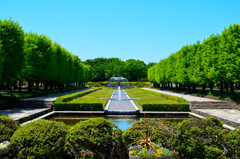 庭園Ⅳ