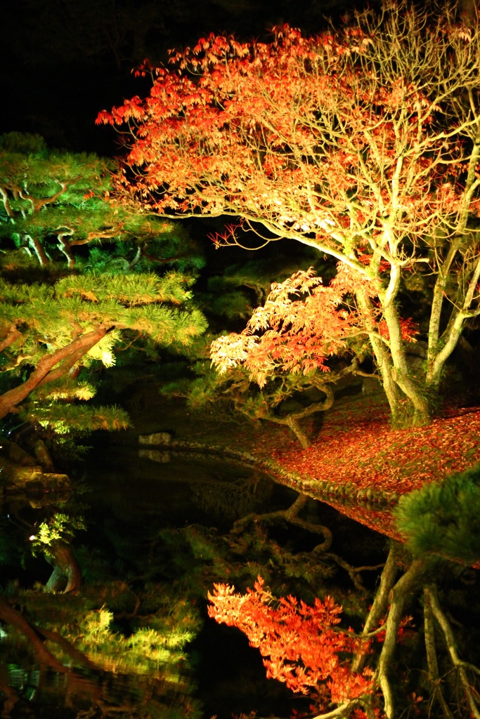紅葉と松