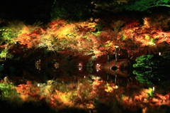 紅葉の共演
