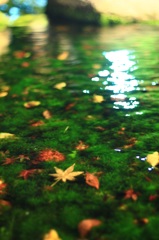 水浴び