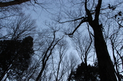 空を見上げたら