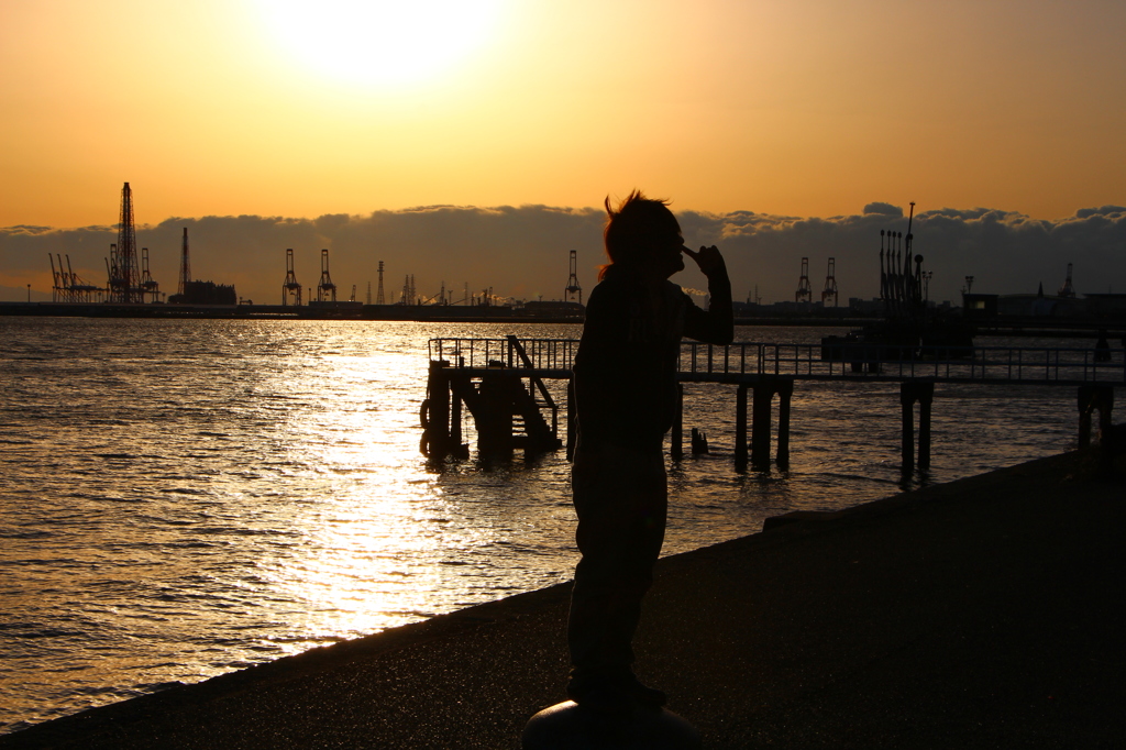 夕日がみてますよ？