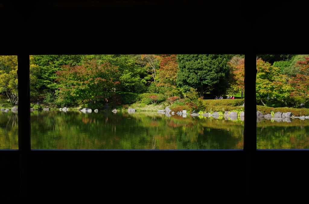 昭和記念公園にて5