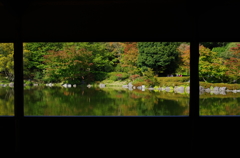 昭和記念公園にて5