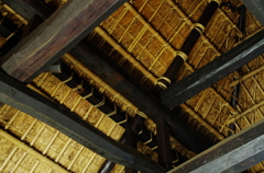 昭和記念公園にて3