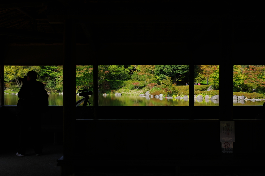 昭和記念公園にて4