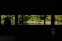 昭和記念公園にて4