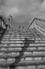 GRスナップ１７