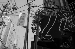 GRスナップ３１