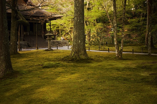 苔の庭