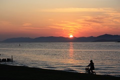 夕陽と自転車