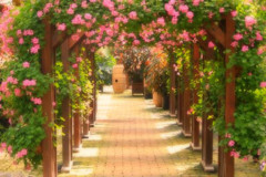 花のアーチ