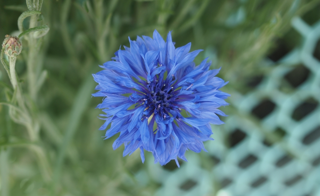 P5220239