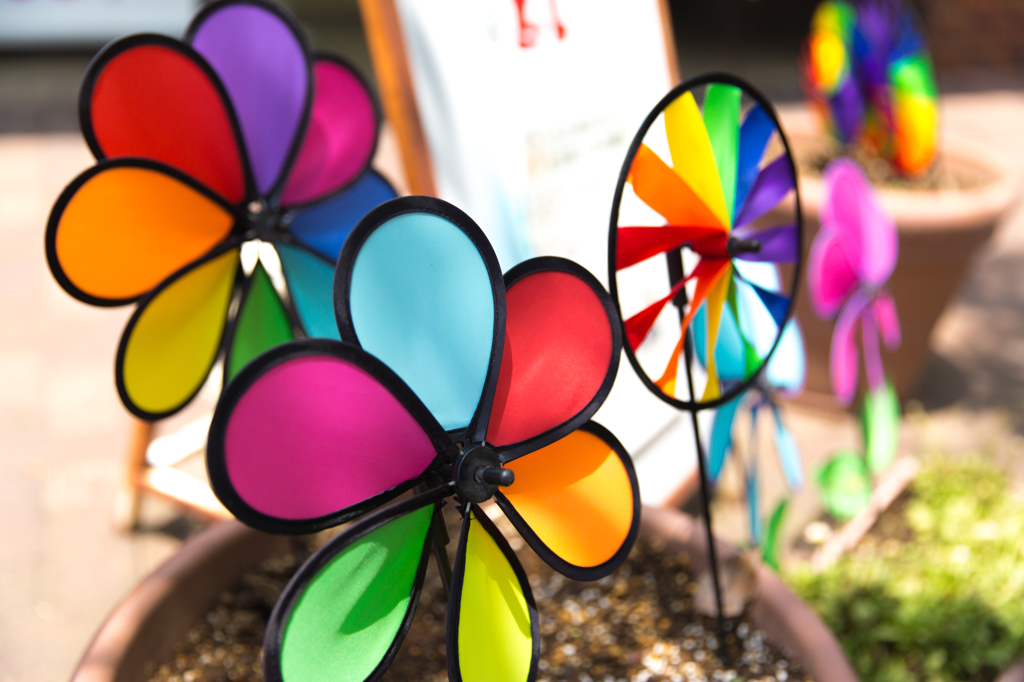 Colors