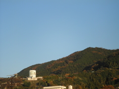 いきも白くなる朝の山辺