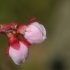 1-NAO_9955