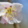 1-NAO_9951