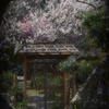 1-NAO_9947