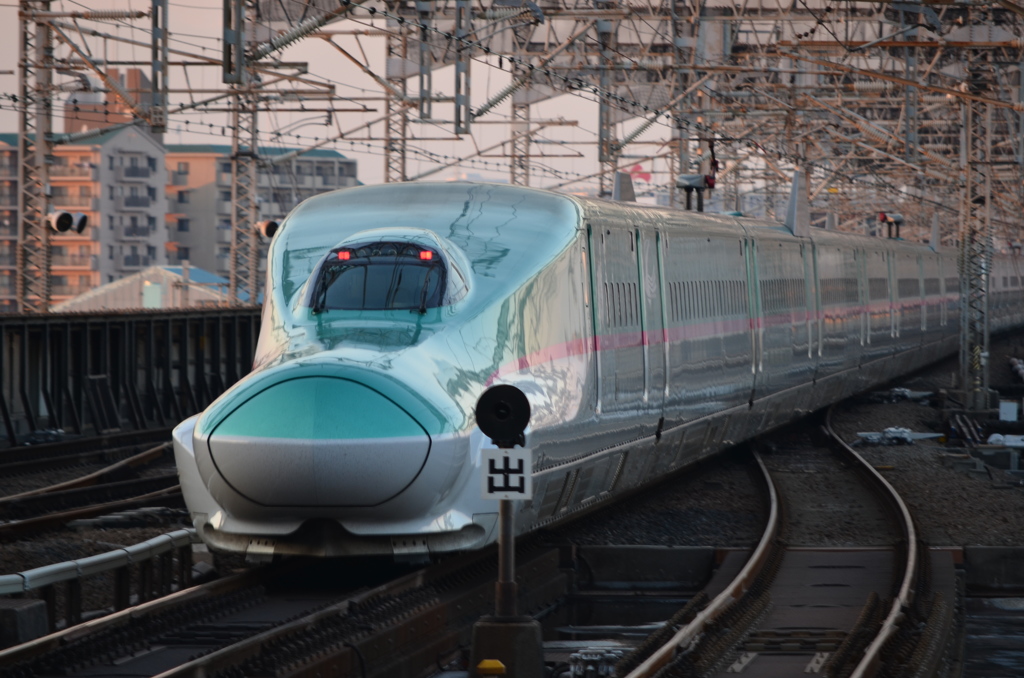 NAO_8473