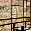 心休まるとき