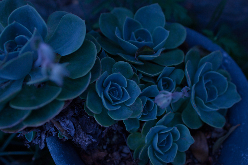 Blue